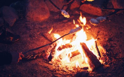 Campfire cuisine  