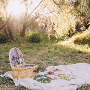 International Picnic Day