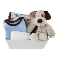It's a Boy! Small Gift Basket *Puppy or Sailboat Theme!*