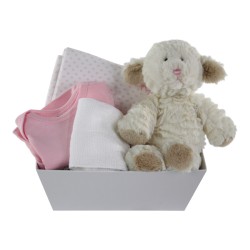 It's a Girl! Small Gift Basket