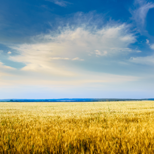 End of July Already!