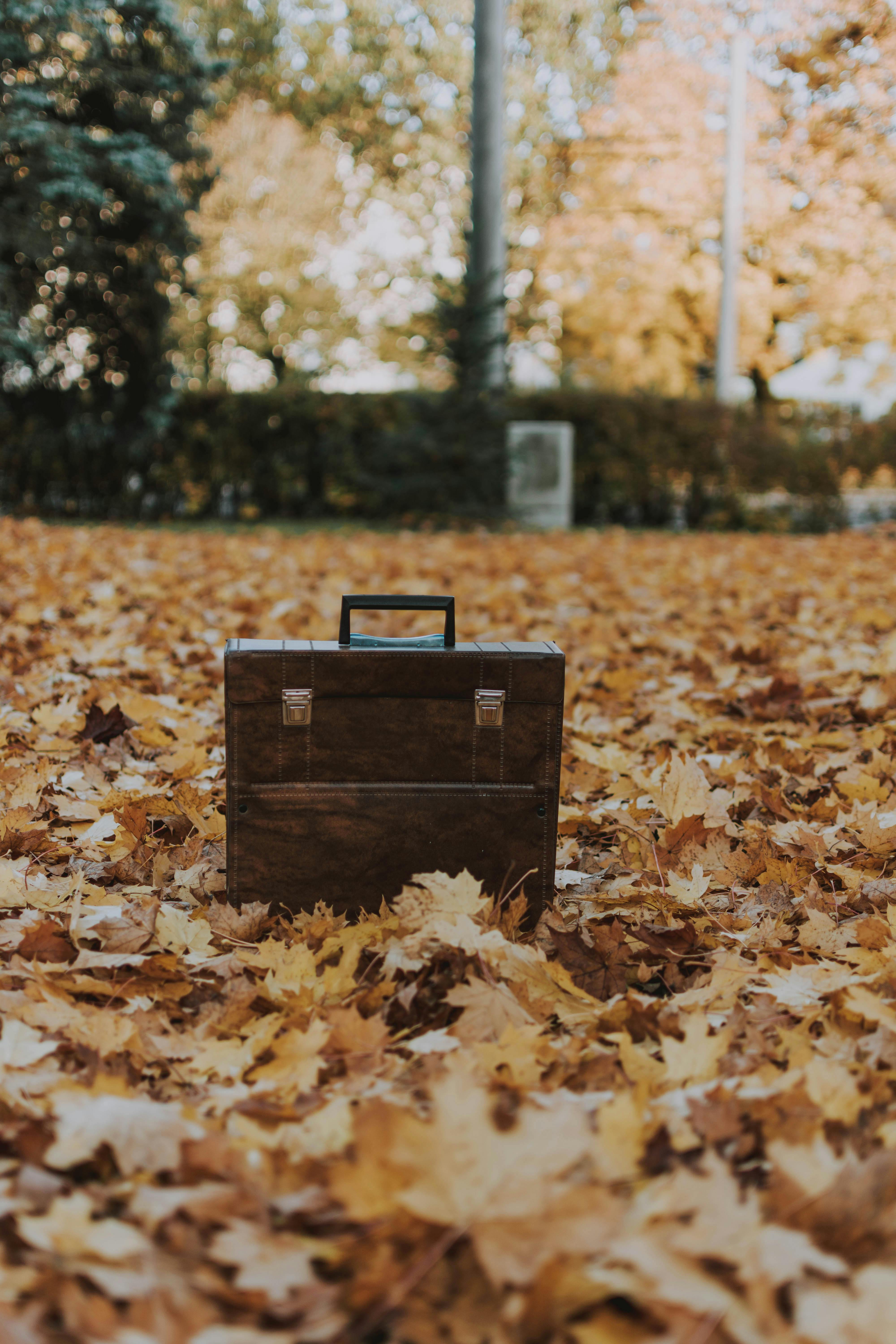 Getting back into the Fall routine